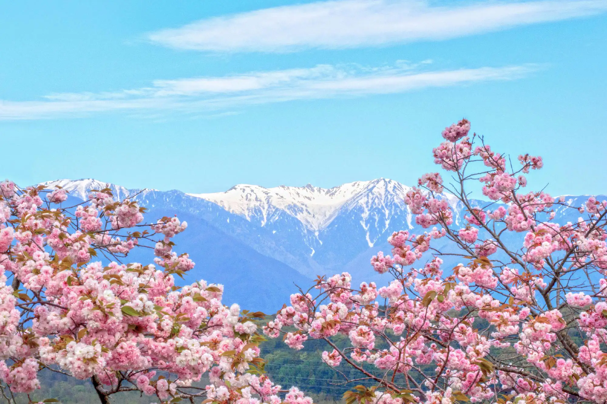 駒ヶ根中沢